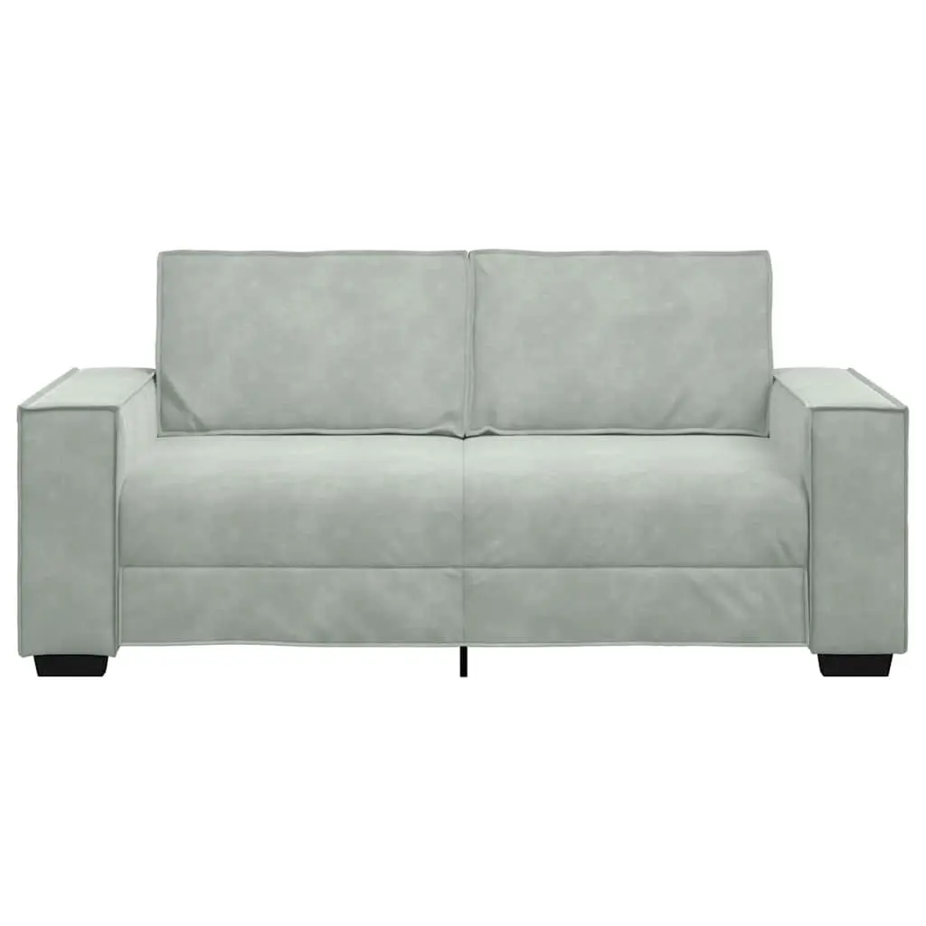 Light Grey Velvet 2-Seater Sofa for Living Rooms