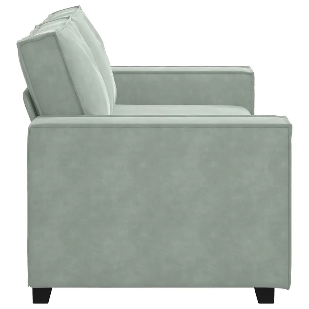 Light Grey Velvet 2-Seater Sofa for Living Rooms