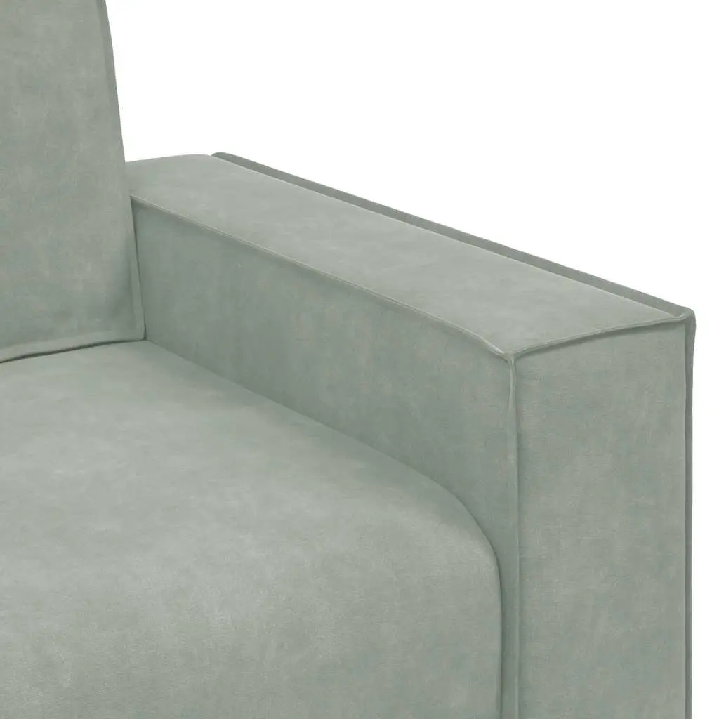 Light Grey Velvet 2-Seater Sofa for Living Rooms
