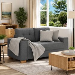 Dark Grey Loveseat Sofa for Relaxing 2-Seater