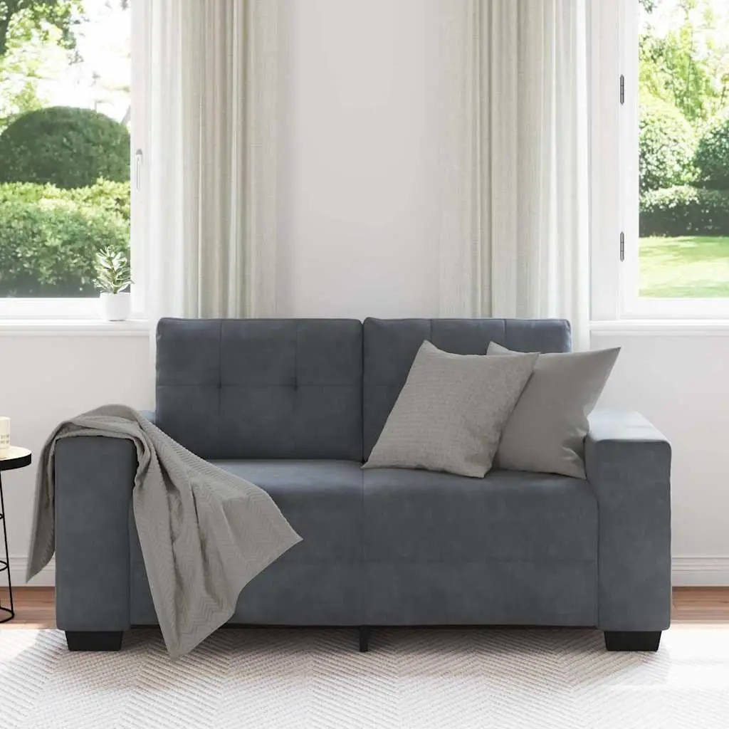 Dark Grey Velvet 2 Seater Loveseat Sofa Modern Couch for Living Room Bedroom or Study
