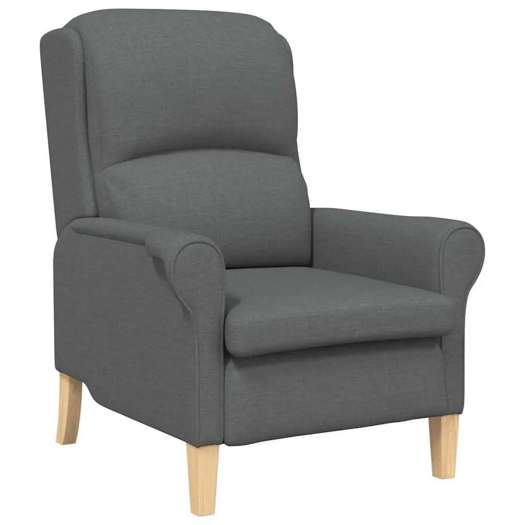 Armchair Grey Fabric Modern Contemporary Living Room Seating Lounge Chair