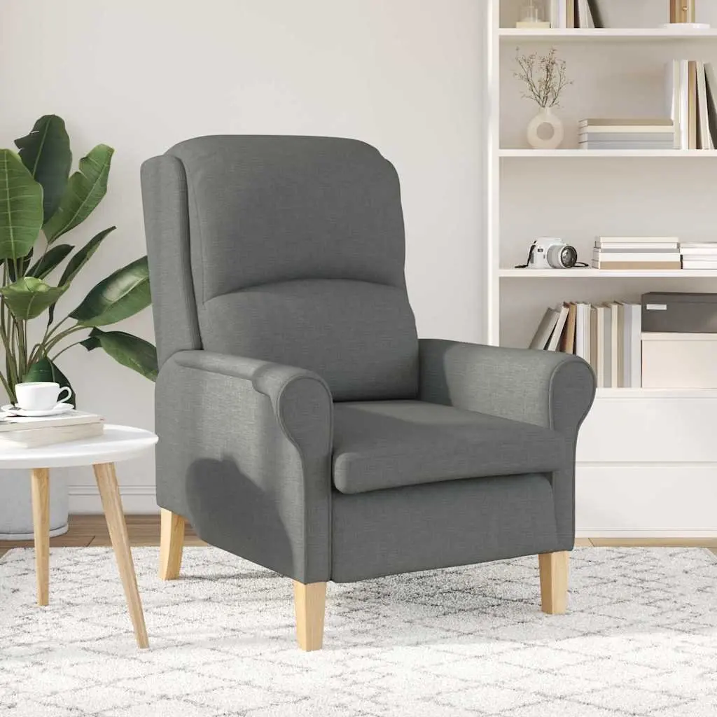 Armchair Grey Fabric Modern Contemporary Living Room Seating Lounge Chair