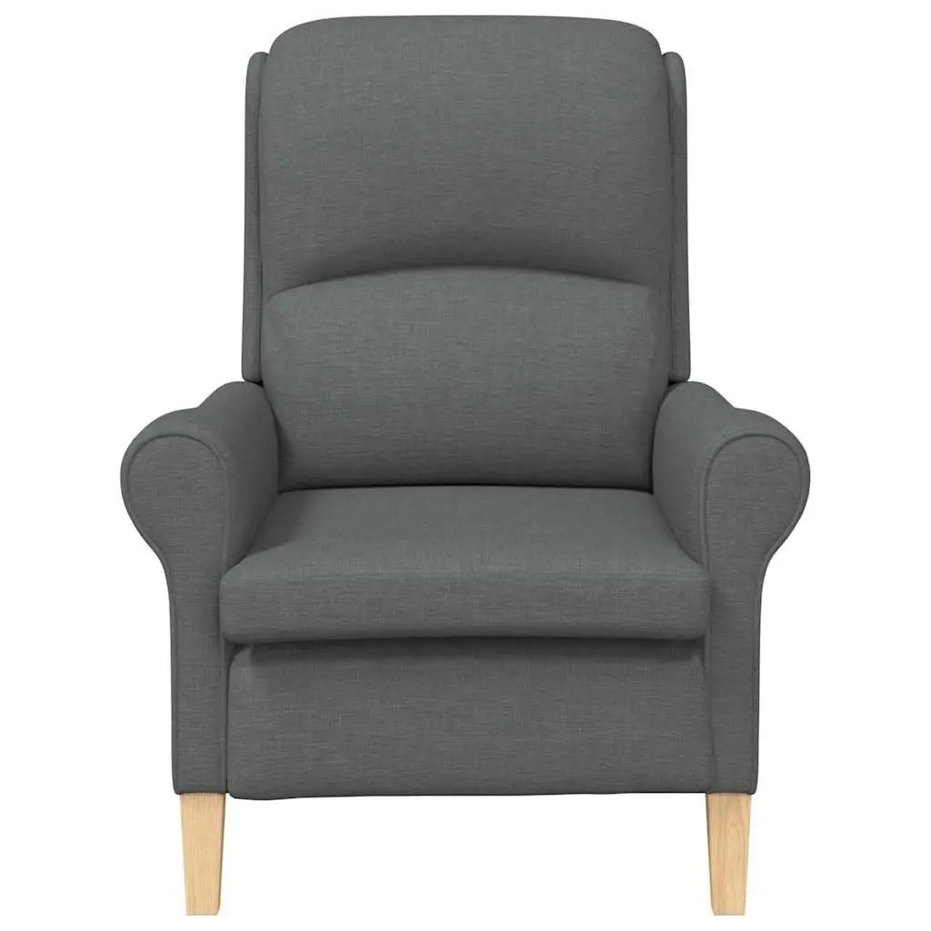 Armchair Grey Fabric Modern Contemporary Living Room Seating Lounge Chair