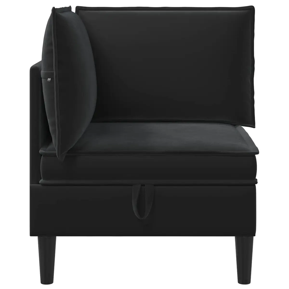 Black Velvet Sofa with Hidden Storage Space