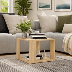Modern Coffee Table with Storage Shelf in Brown