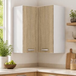 Brown Hanging Corner Kitchen Cabinet with Two Shelves