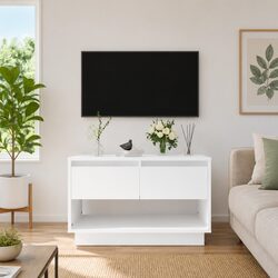 White TV Cabinet for Living Room with Open Shelf and 2 Drawers