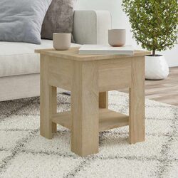 Coffee Table with Storage Shelf Modern Side Table Living Room Furniture Brown