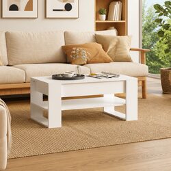 White Engineered Wood Coffee Table with Storage Shelf