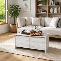 Grey Sonoma Modern Coffee Table with Storage Drawers