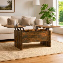 Lift-Top Coffee Table with Storage Compartments in Brown