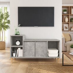 Grey Engineered Wood TV Cabinet with Storage Space