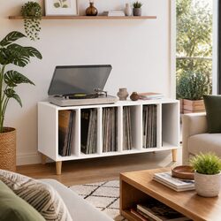 Vinyl Record Storage Cabinet for Elegant Display