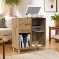 Brown Engineered Wood Record Cabinet for Vinyl Storage