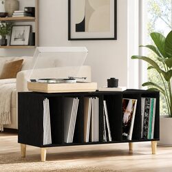 Modern Black Oak Record Cabinet for Living Room