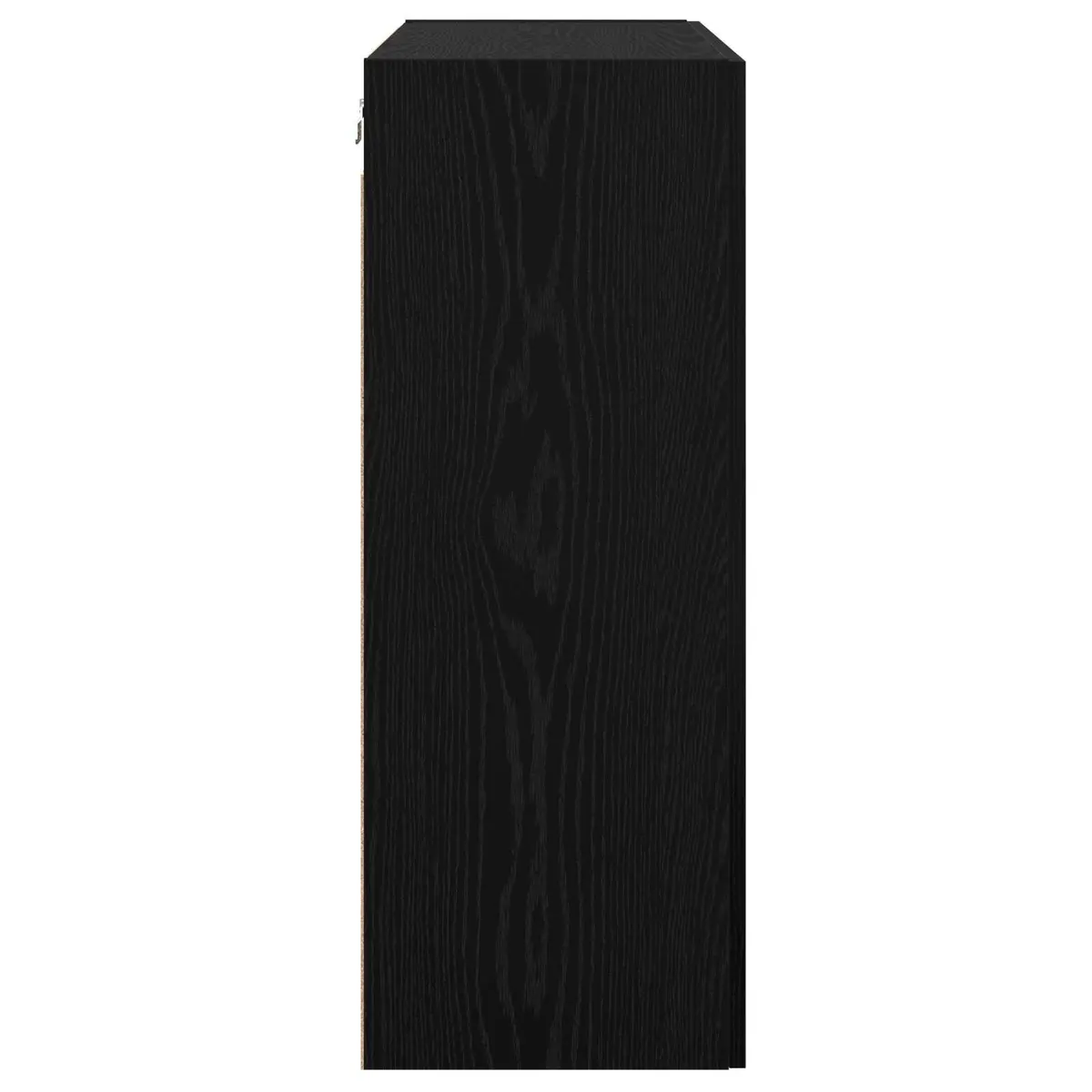 Wall-Mounted Storage Cabinet in Black Oak for Living Spaces