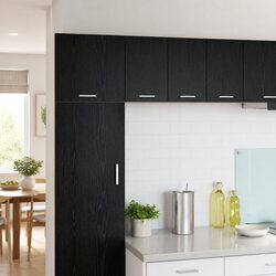 Wall-Mounted Kitchen Cabinet in Black Oak and White