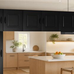 Stylish Black Kitchen Cabinet with Dishwasher Panel