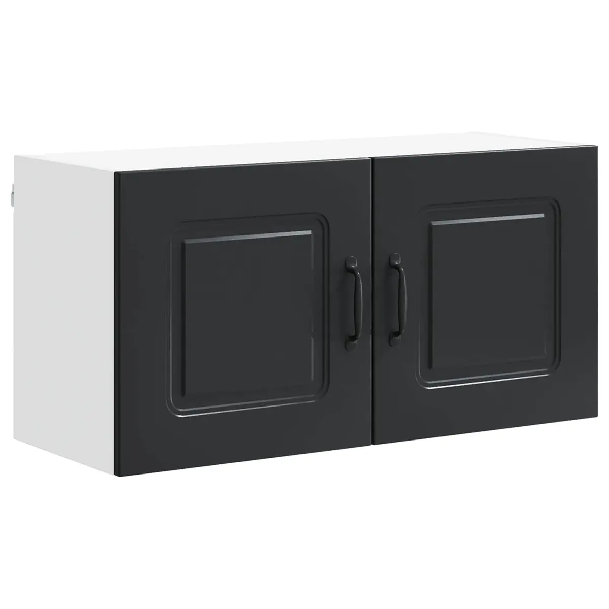 Black Kitchen Cabinet with Dishwasher Panel