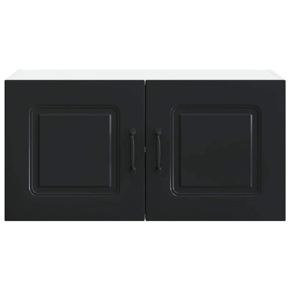 Black Kitchen Cabinet with Dishwasher Panel