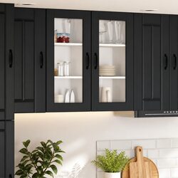 Modern Black Glass Cabinet for Kitchen Storage