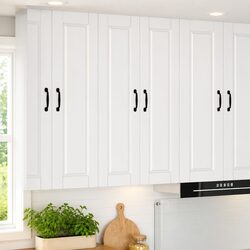 White Engineered Wood Wall Cabinet for Kitchen Storage