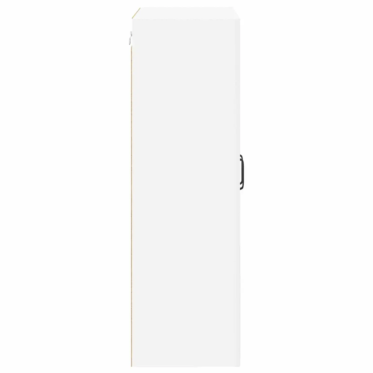 White Wall Glass Kitchen Cabinet 60x31x100cm