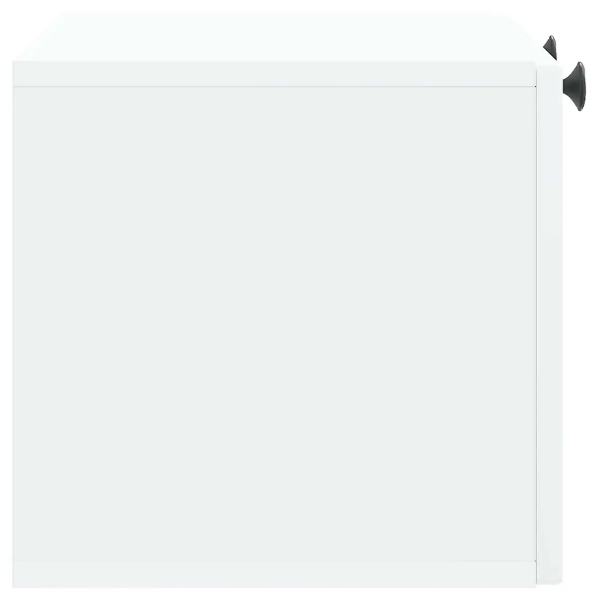 Wall-Mounted TV Cabinet in White 59.5 x 31 x 30 cm