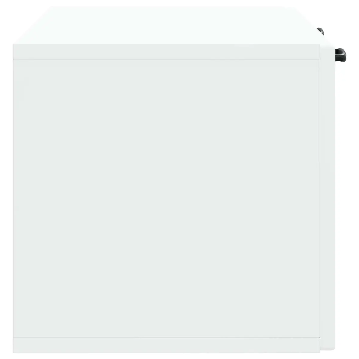 Wall-Mounted TV Cabinet White 78.5 x 31 x 30 cm Engineered Wood