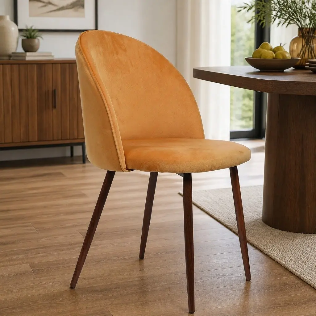 Dining Chairs Set of 2 with Steel Frame