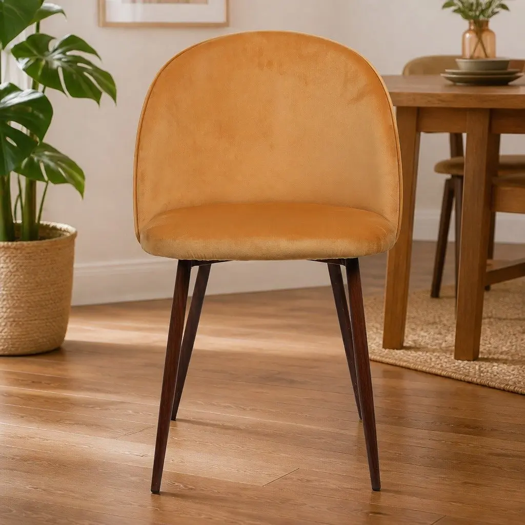 Dining Chairs Set of 2 with Steel Frame