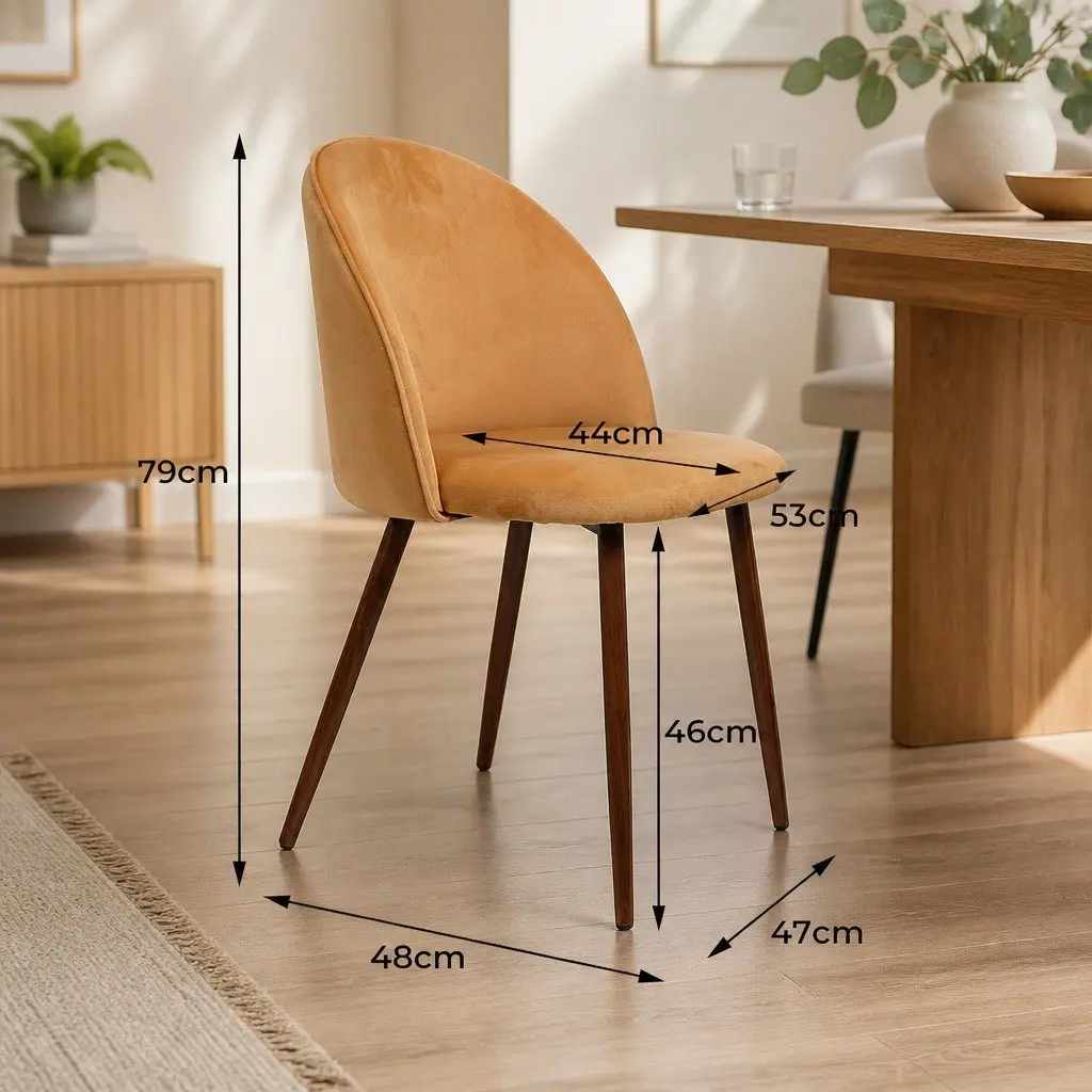 Dining Chairs Set of 2 with Steel Frame