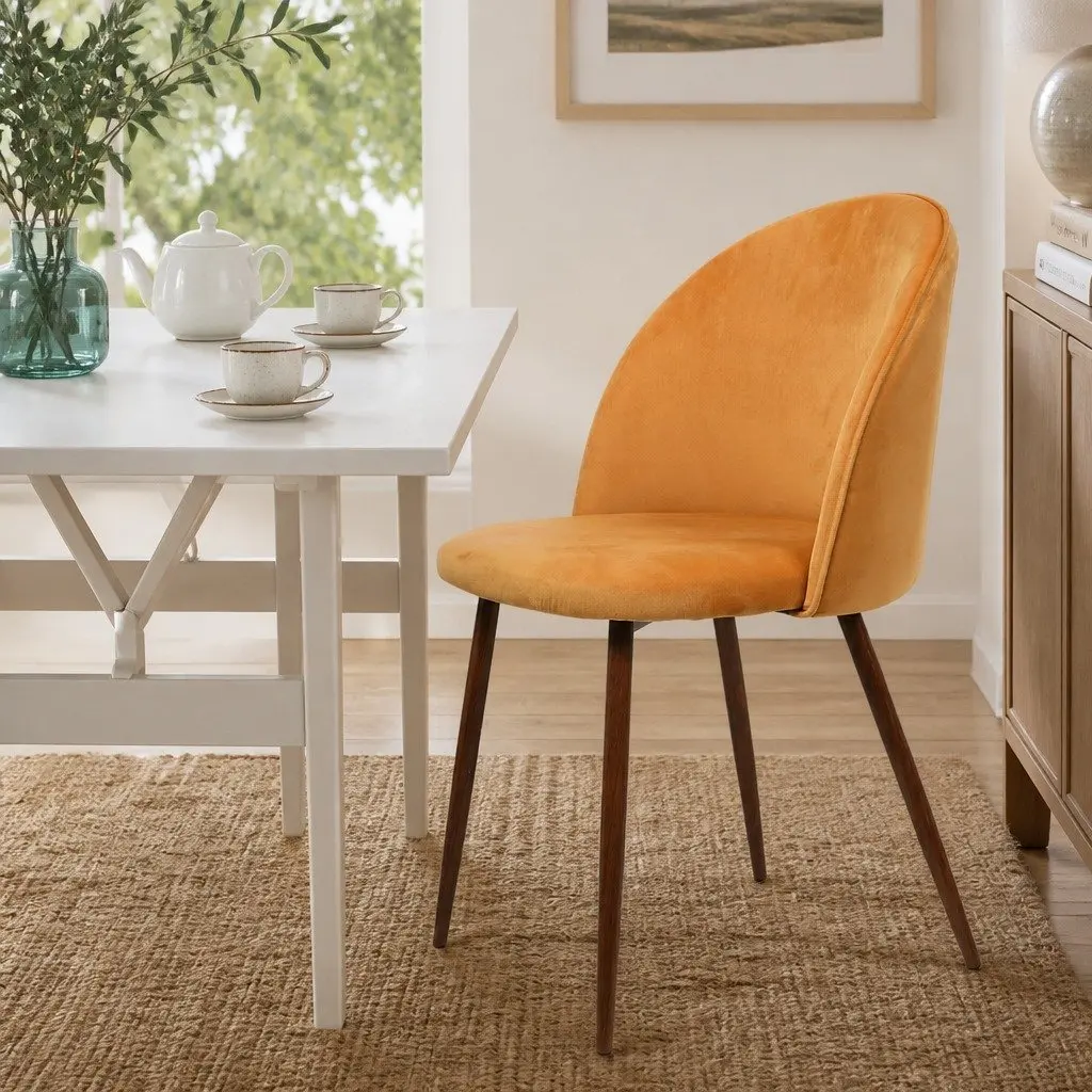 Dining Chairs Set of 2 with Steel Frame