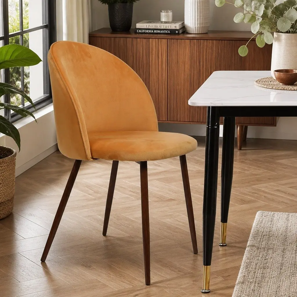 Dining Chairs Set of 2 with Steel Frame