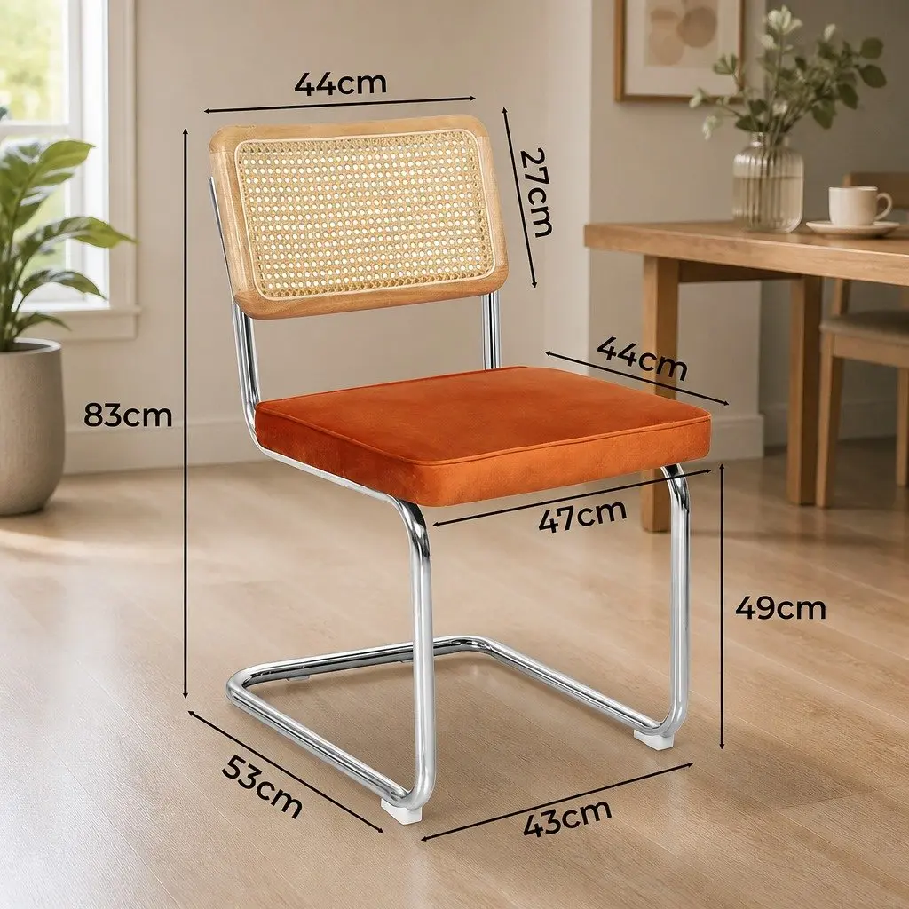 Dining Chairs Set of 8 Rattan Backrest Cantilevered Steel Frame Padded Seat