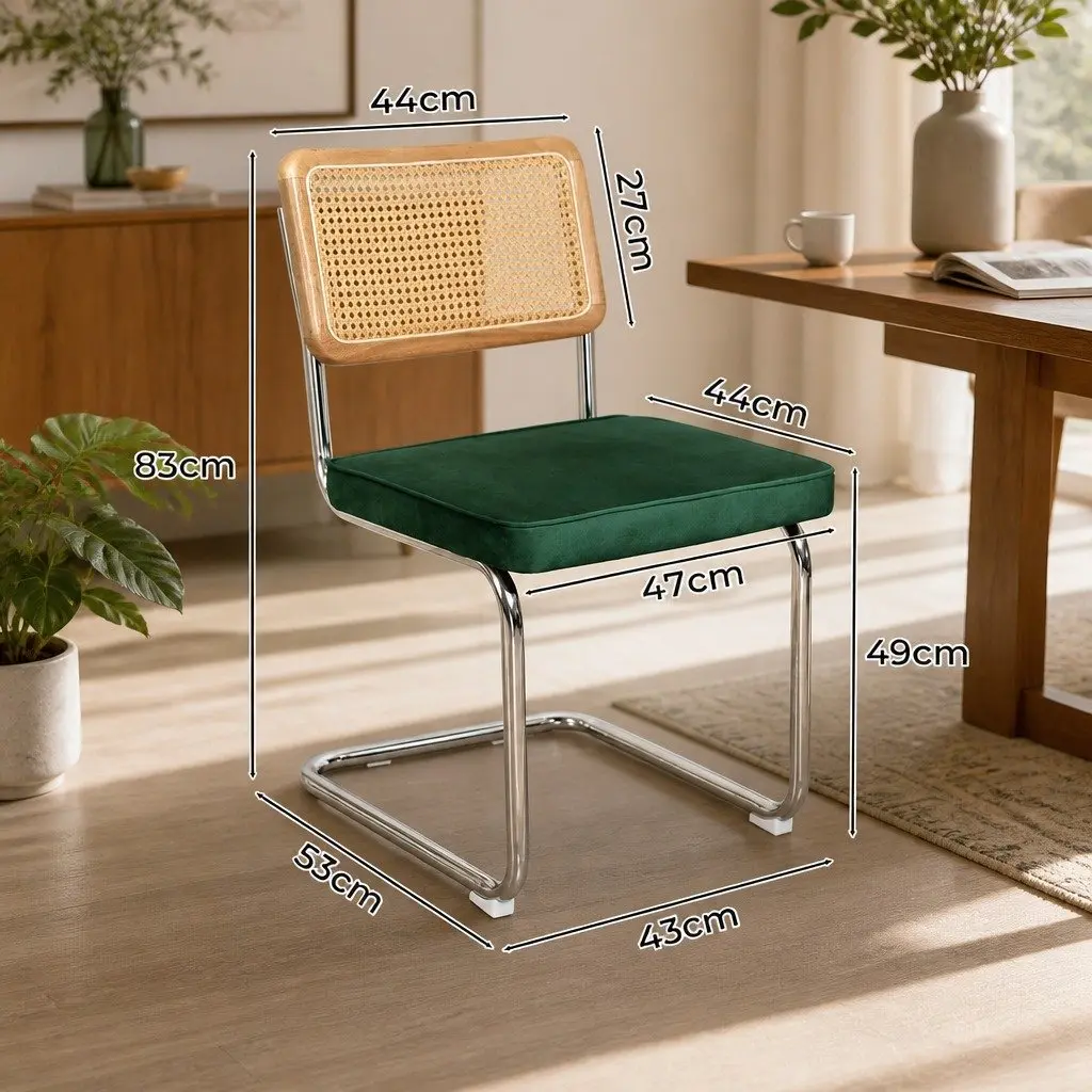Dining Chairs Set of 2 Rattan Backrest Padded Seat Steel Frame Green Natural