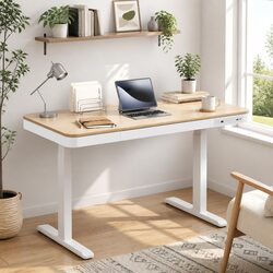 Walnut Electric Sit Stand Desk with Dual Motors 120cm