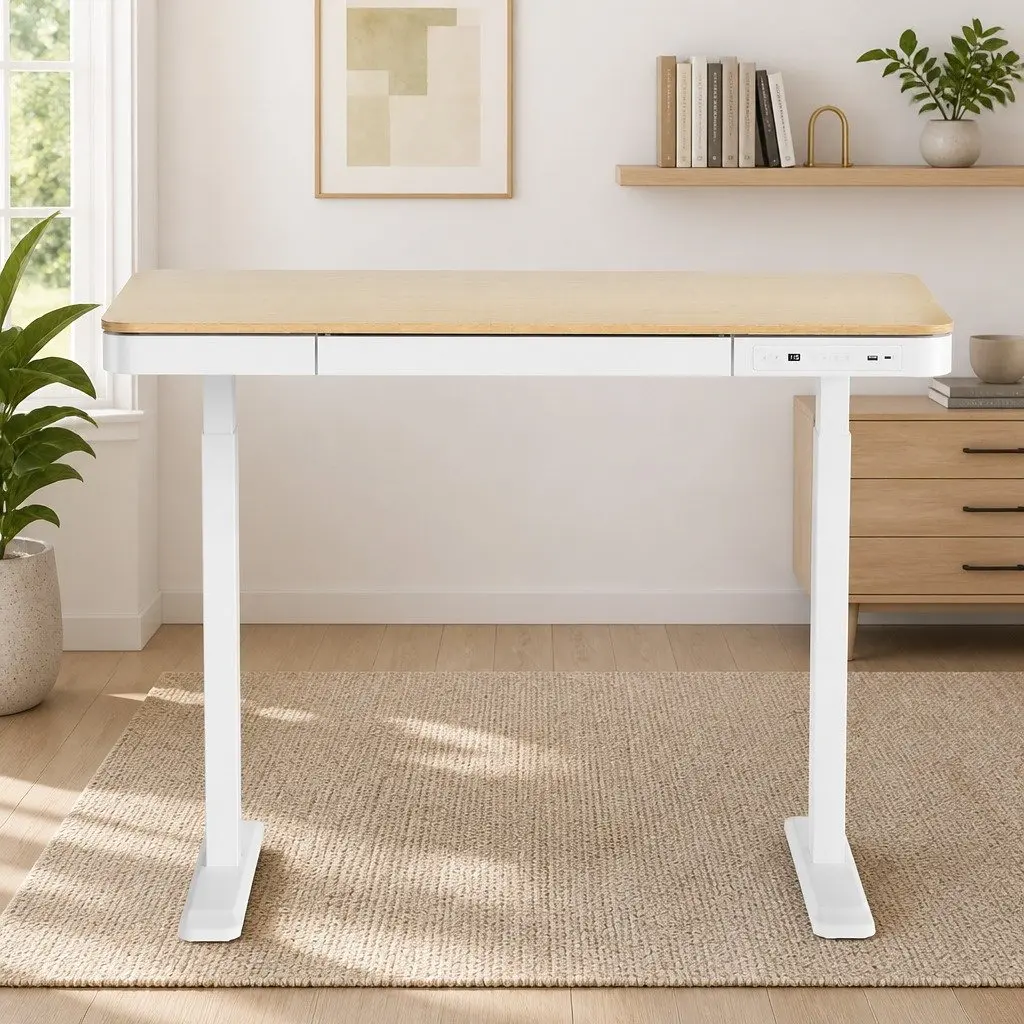 Electric Sit Stand Desk Motorised Dual Motor Height Adjustable 120cm Walnut Particle Board