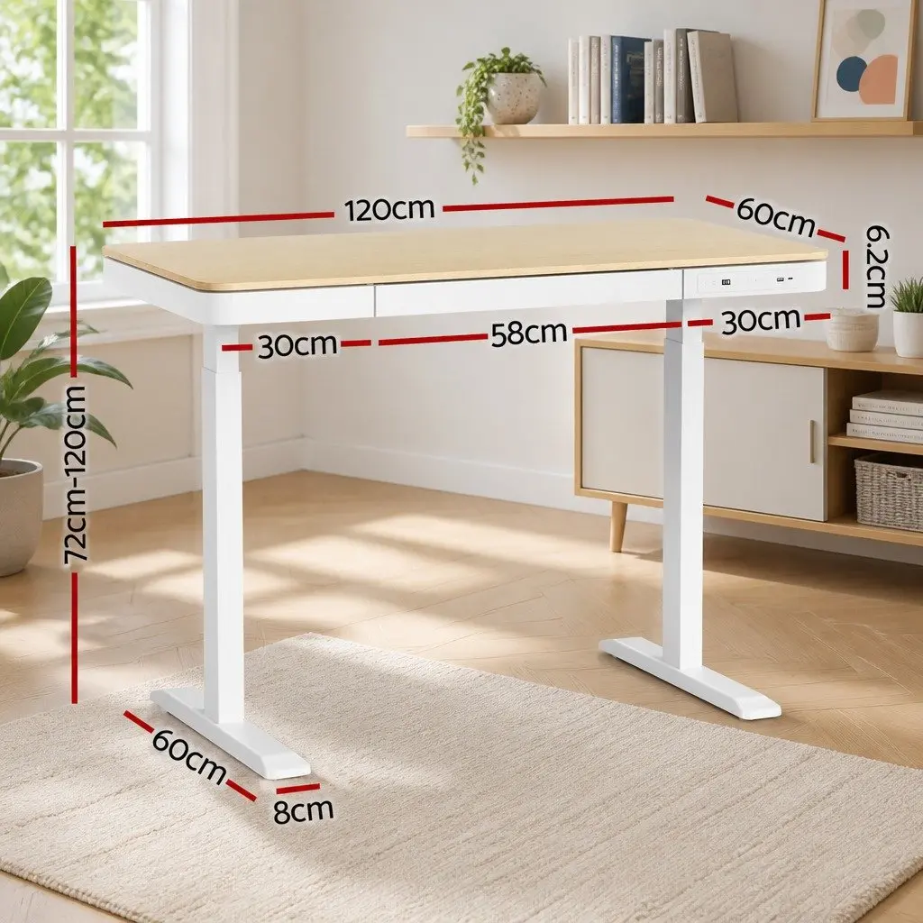 Electric Sit Stand Desk Motorised Dual Motor Height Adjustable 120cm Walnut Particle Board