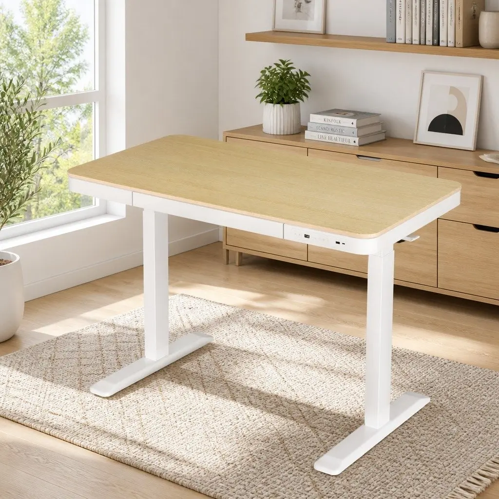 Electric Sit Stand Desk Motorised Dual Motor Height Adjustable 120cm Walnut Particle Board