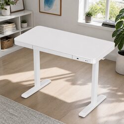Height Adjustable Electric Standing Desk with Drawer 120cm