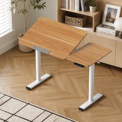 Height Adjustable Electric Standing Desk for Home Office