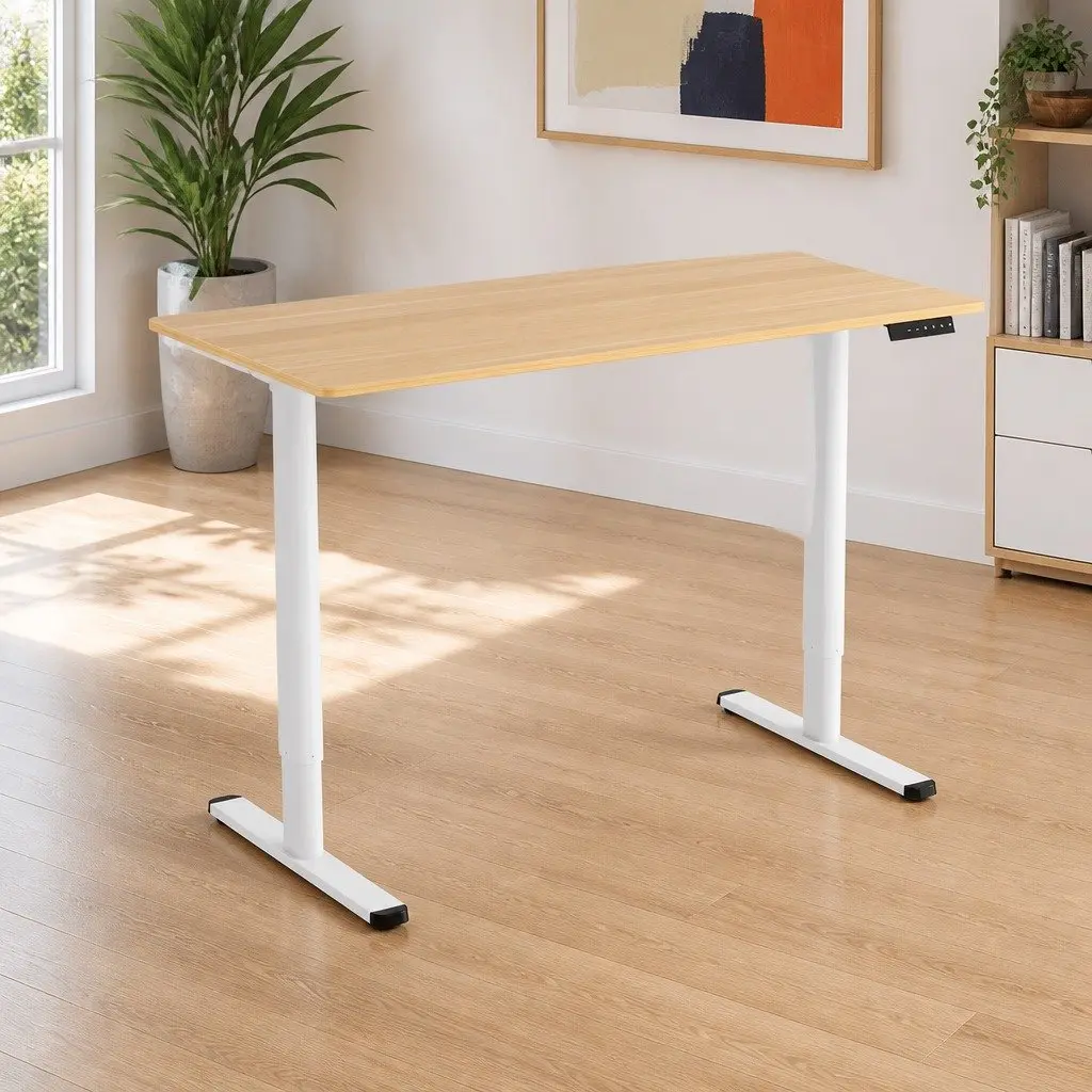Motorised Height Adjustable Electric Standing Desk 120cm