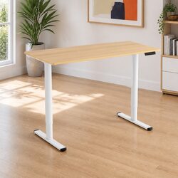 Motorised Height Adjustable Electric Standing Desk 120cm