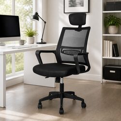 Ergonomic Mesh Office Chair with Lumbar Support