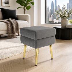 Grey Velvet Ottoman Storage Footstool with Metal Legs