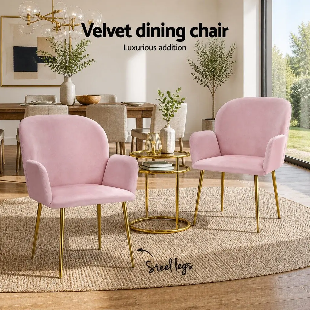 Dining Chairs Velvet Armchair Pink 54cm x 58cm x 83cm Wood Frame Steel Legs