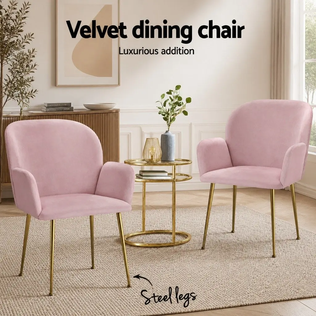 Dining Chairs Velvet Pink Set of 4 Kitchen Armchair with Cushioned Back